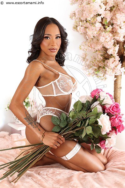 Foto Annunci Incontri Trans Angel Jade Pornostar  3485661010